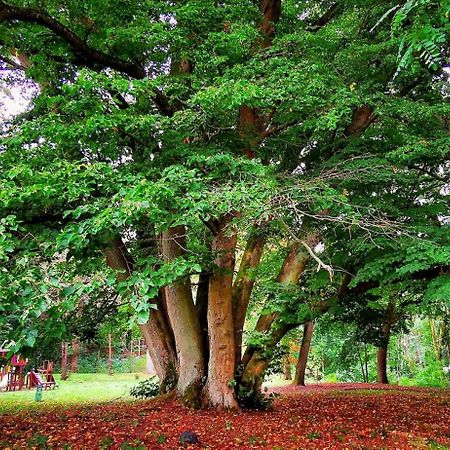Gospodarstwo Nad Jeziorem Zalom  ภายนอก รูปภาพ