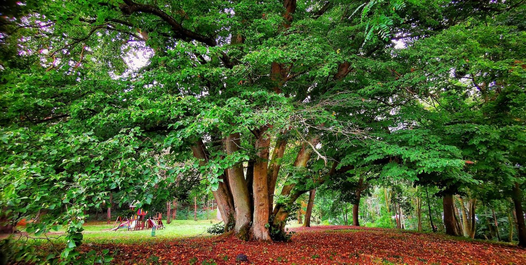 Gospodarstwo Nad Jeziorem Zalom  ภายนอก รูปภาพ
