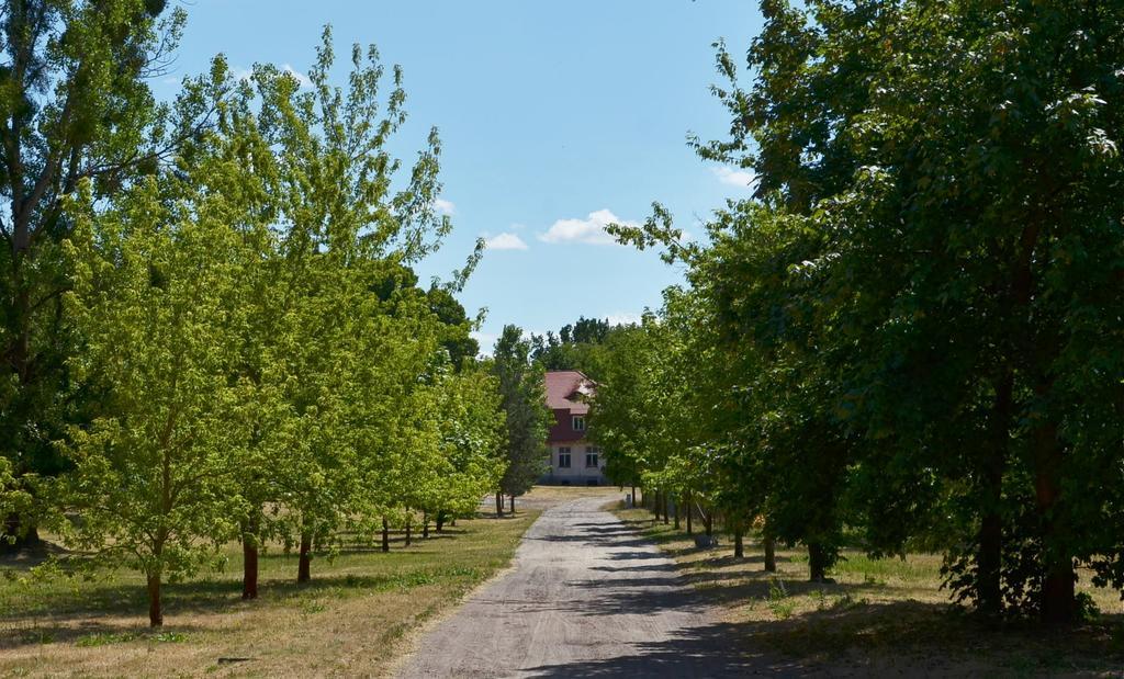Gospodarstwo Nad Jeziorem Zalom  ภายนอก รูปภาพ