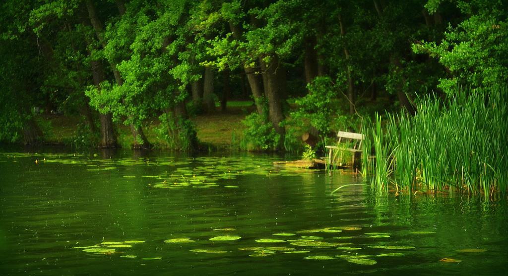 Gospodarstwo Nad Jeziorem Zalom  ภายนอก รูปภาพ