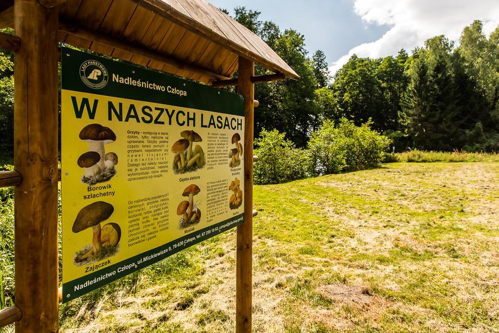 Gospodarstwo Nad Jeziorem Zalom  ภายนอก รูปภาพ