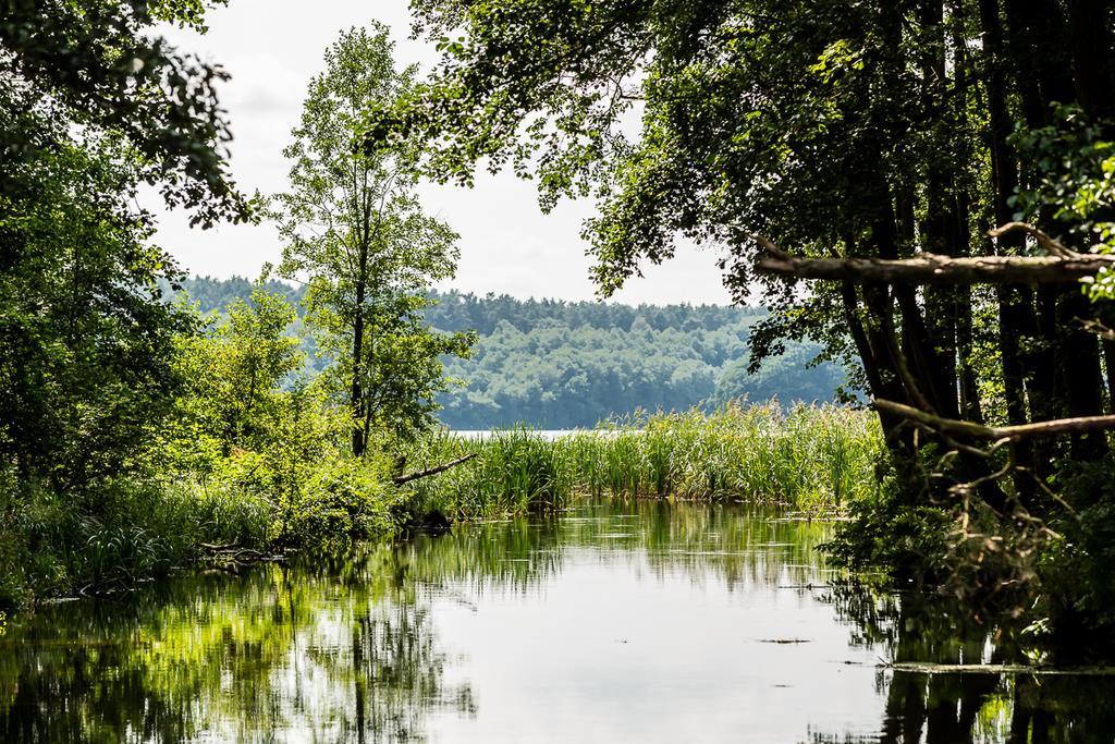 Gospodarstwo Nad Jeziorem Zalom  ภายนอก รูปภาพ